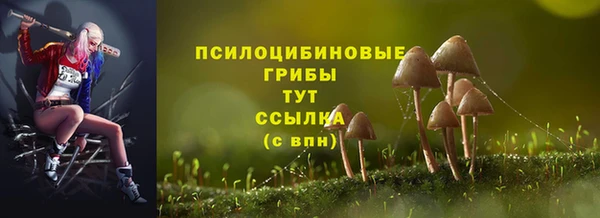 дурь Алексеевка