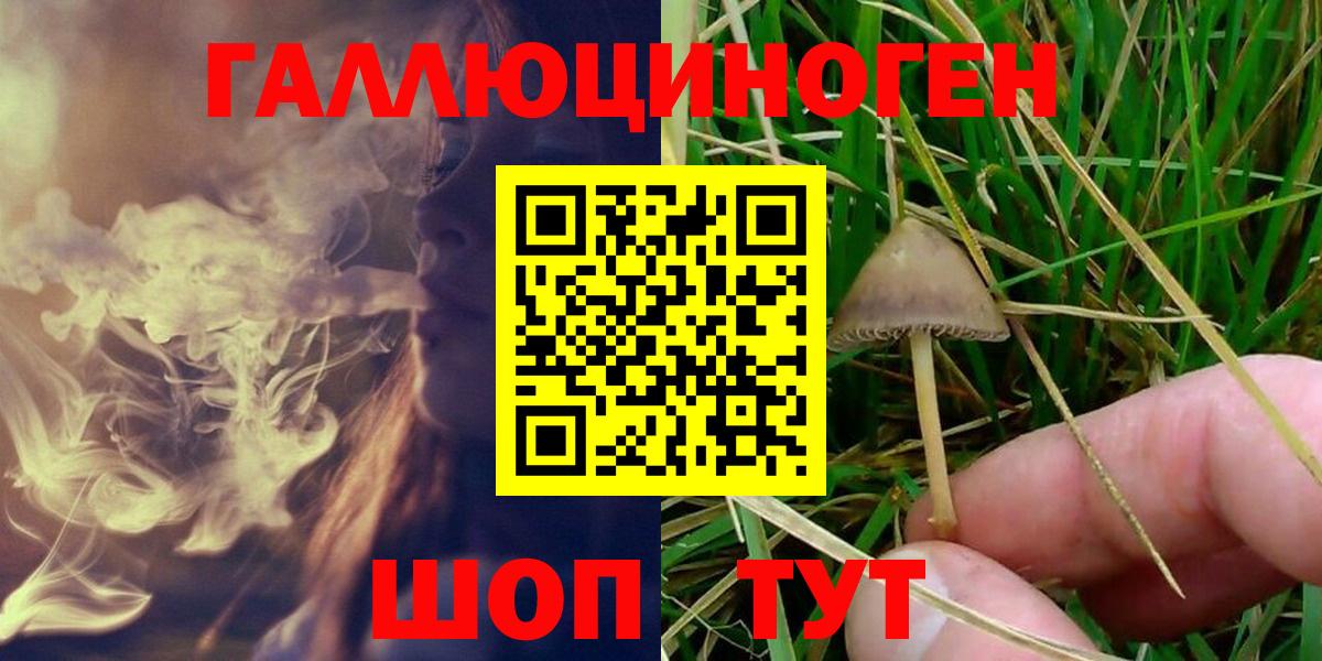 Галлюциногенные грибы Psilocybine cubensis Кыштым